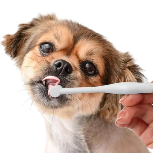 Soft Bristles Toothbrush for Puppies, part of the RPBA Shop range for puppies
