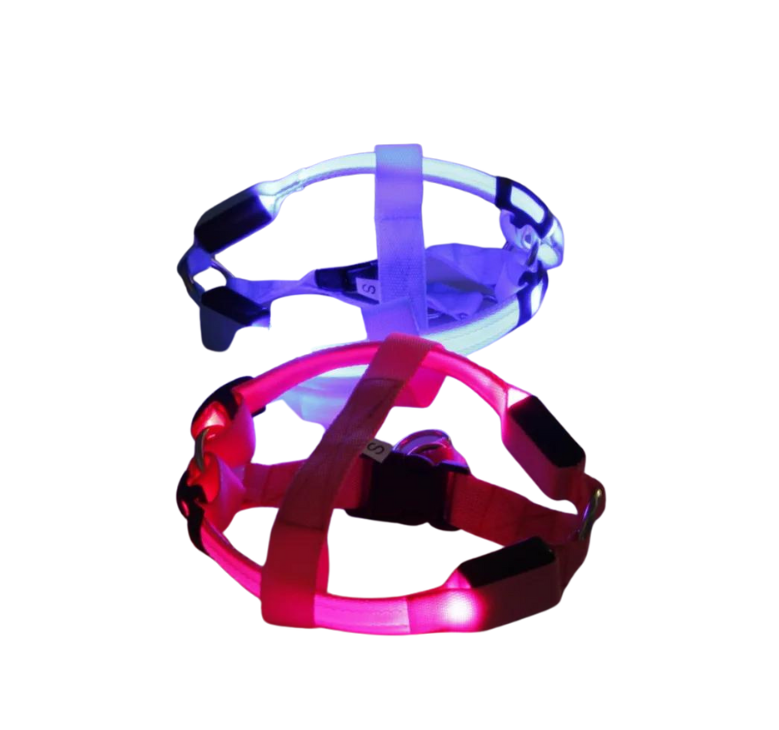 Night Light Up Luminous Dog Harness
