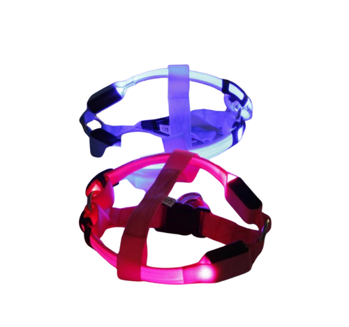Night Light Up Luminous Dog Harness