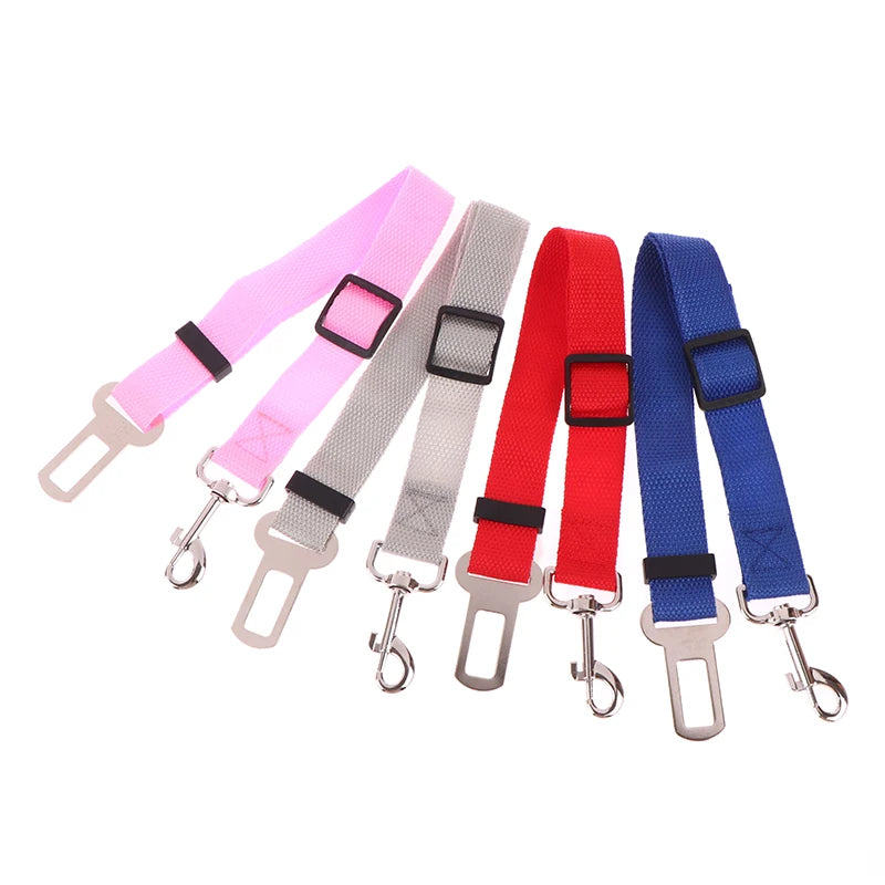 Adjustable dog car seat belt tethers in assorted colours