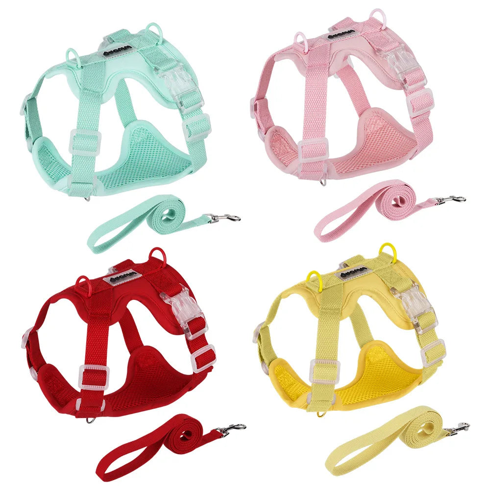 Adjustable mesh dog harness and leash sets shown in mint green, pink, red and yellow colour options