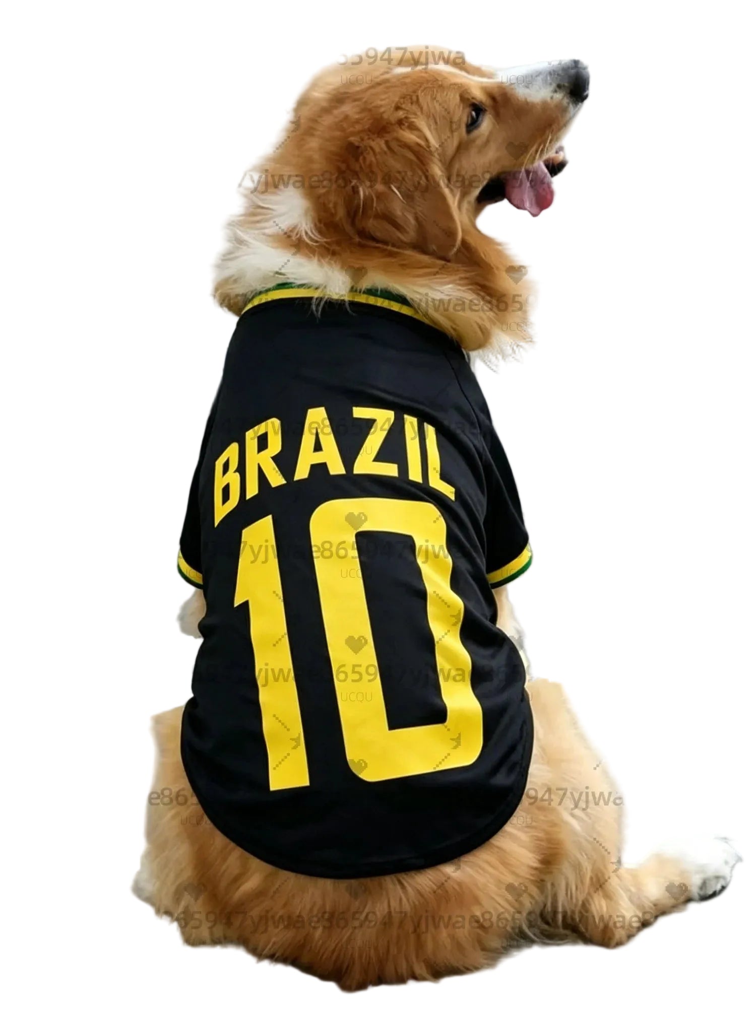 Golden-coloured dog wearing a black Brazil football shirt with yellow lettering and number 10 on the back