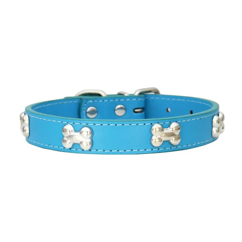 Blue dog collar with silver bone-shaped studs and adjustable buckle fastening