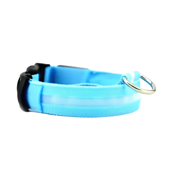Blue reflective dog collar with adjustable buckle and metal D-ring for leash attachment