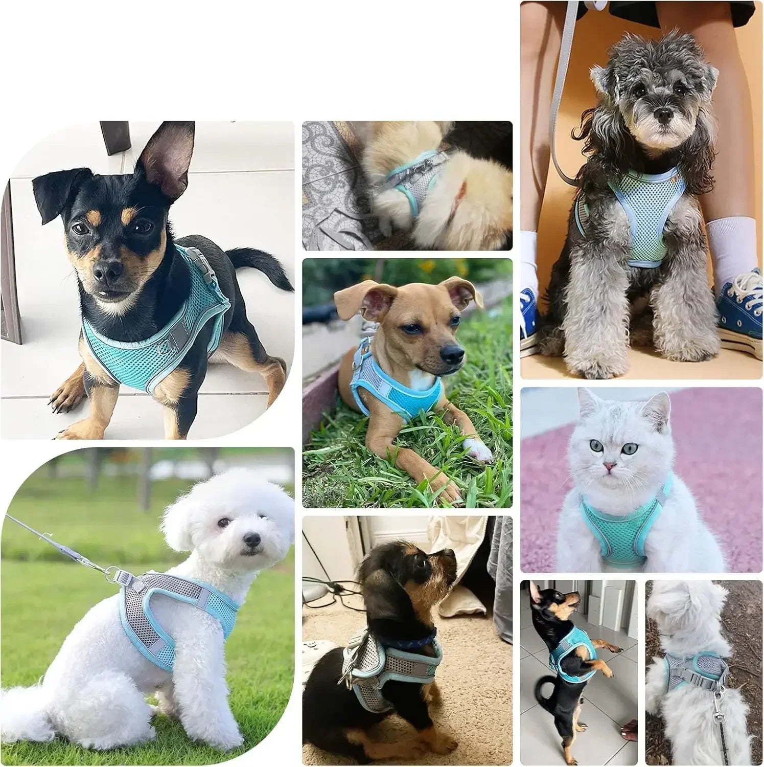 Pink and grey breathable mesh dog harness with reflective trim, adjustable straps and matching leash