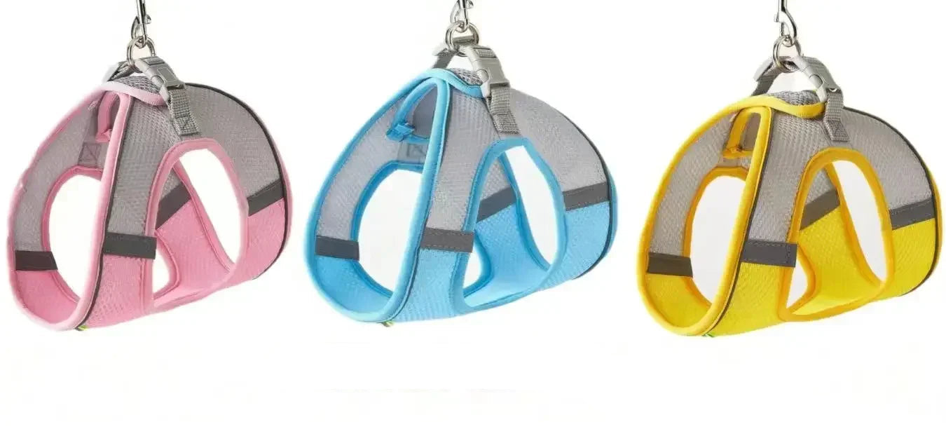 Breathable mesh pet harness shown in pink, blue and yellow colour options with grey trim and leash attachment rings