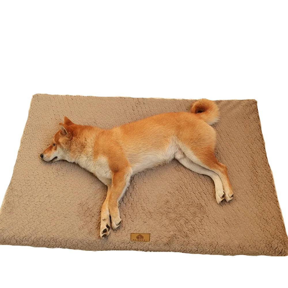 Dog sleeping on a brown plush dog bed mat with a soft cushioned surface