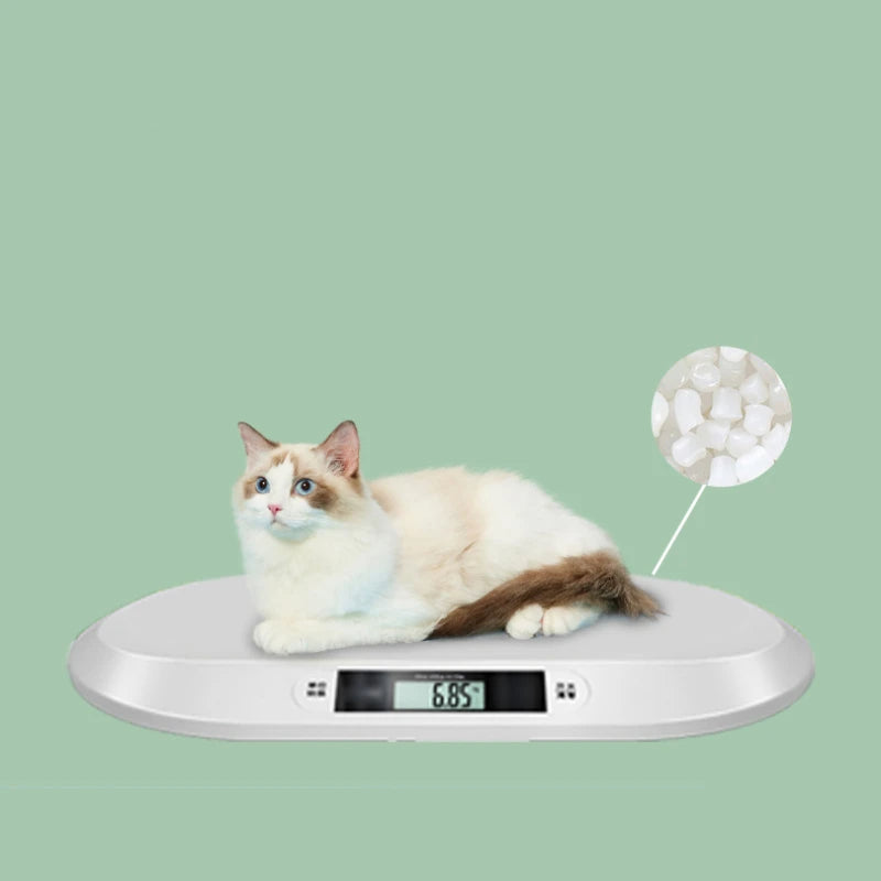 White digital pet scale with high-precision LCD weight display and flat weighing platform