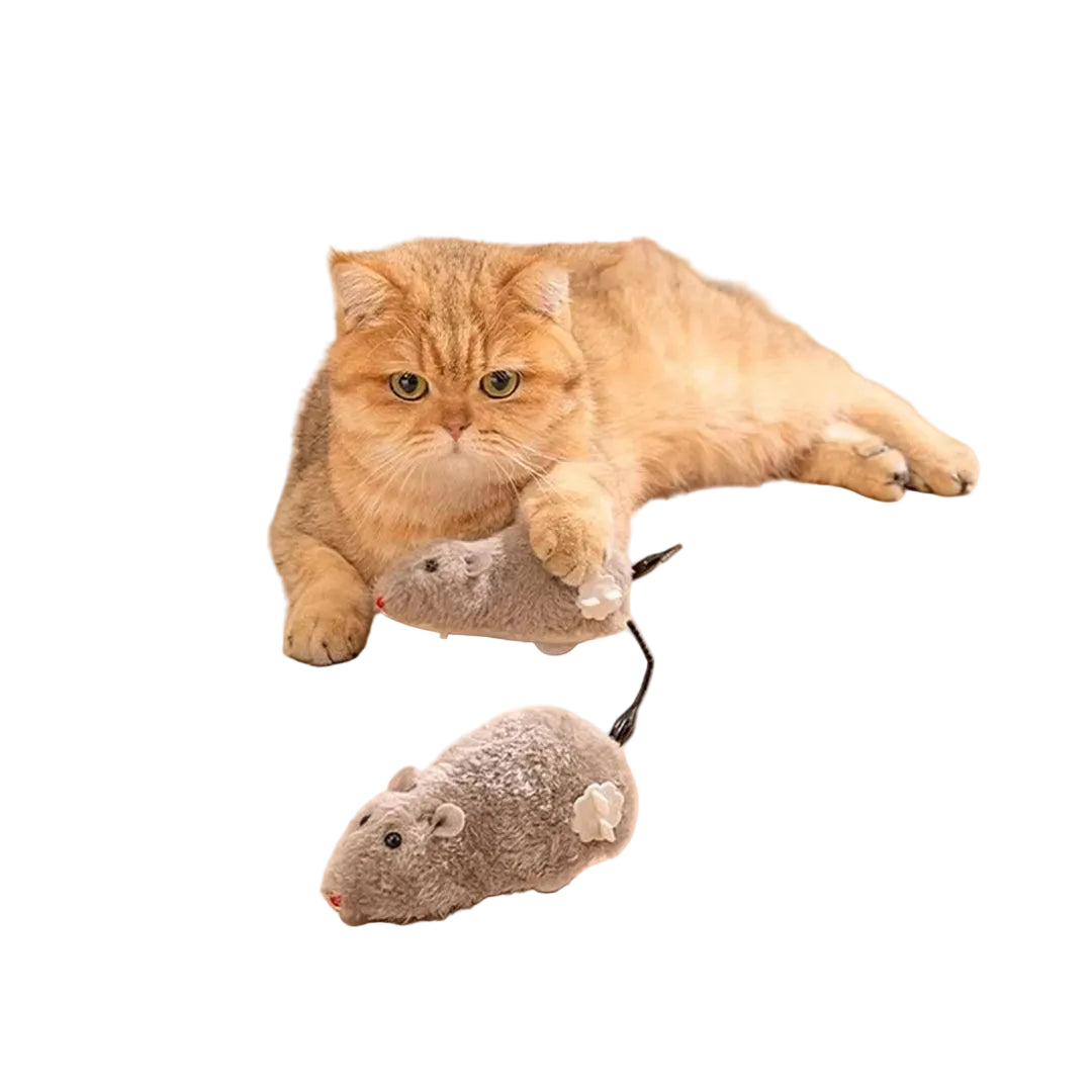 Ginger cat playing with a grey wind-up plush mouse toy, with a second mouse toy shown below