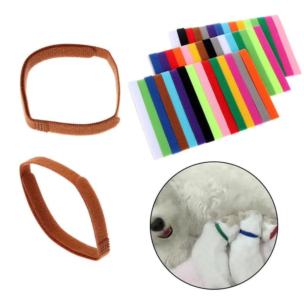 Colour-coded adjustable puppy identification collars in multiple colours, shown with newborn puppies wearing different collar colours