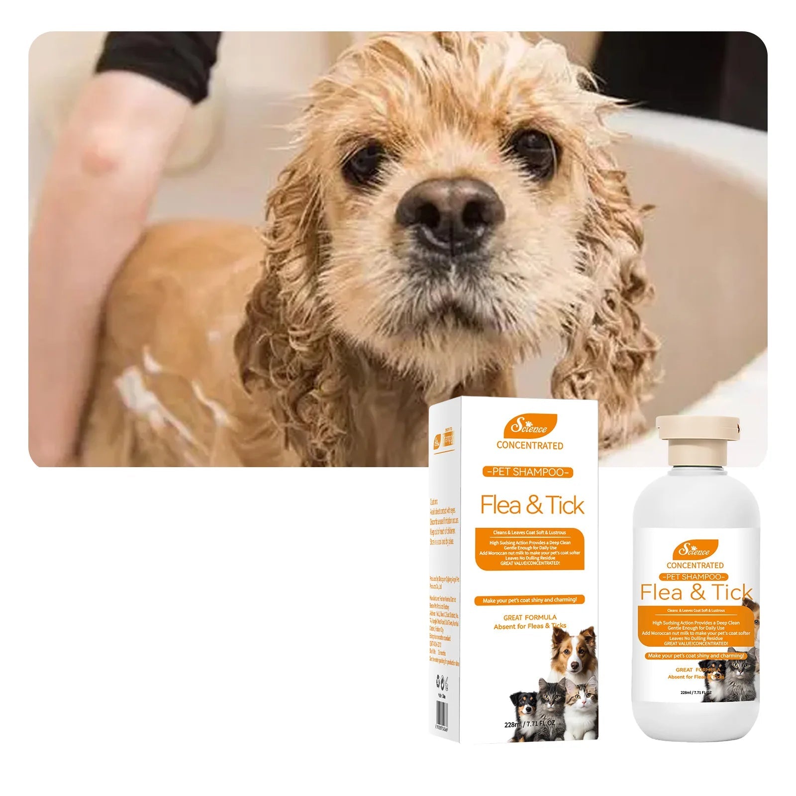 Dog being bathed with concentrated flea and tick pet shampoo, shown with the 228ml bottle and product packaging