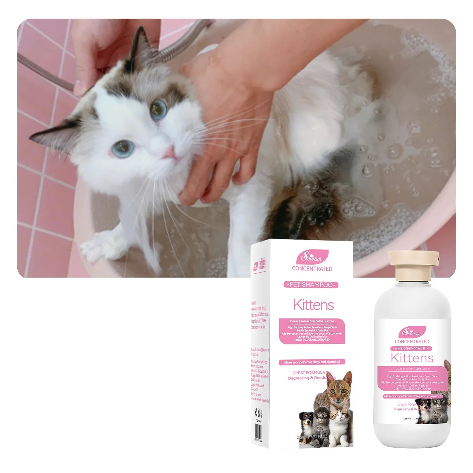 Cat being bathed with concentrated kitten shampoo, shown with the 228ml bottle and product packaging