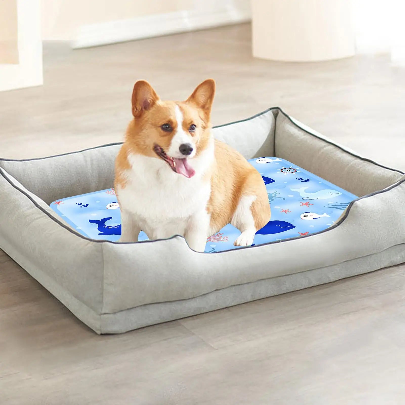 Corgi sitting on a blue whale print pet cooling mat placed inside a cushioned dog bed