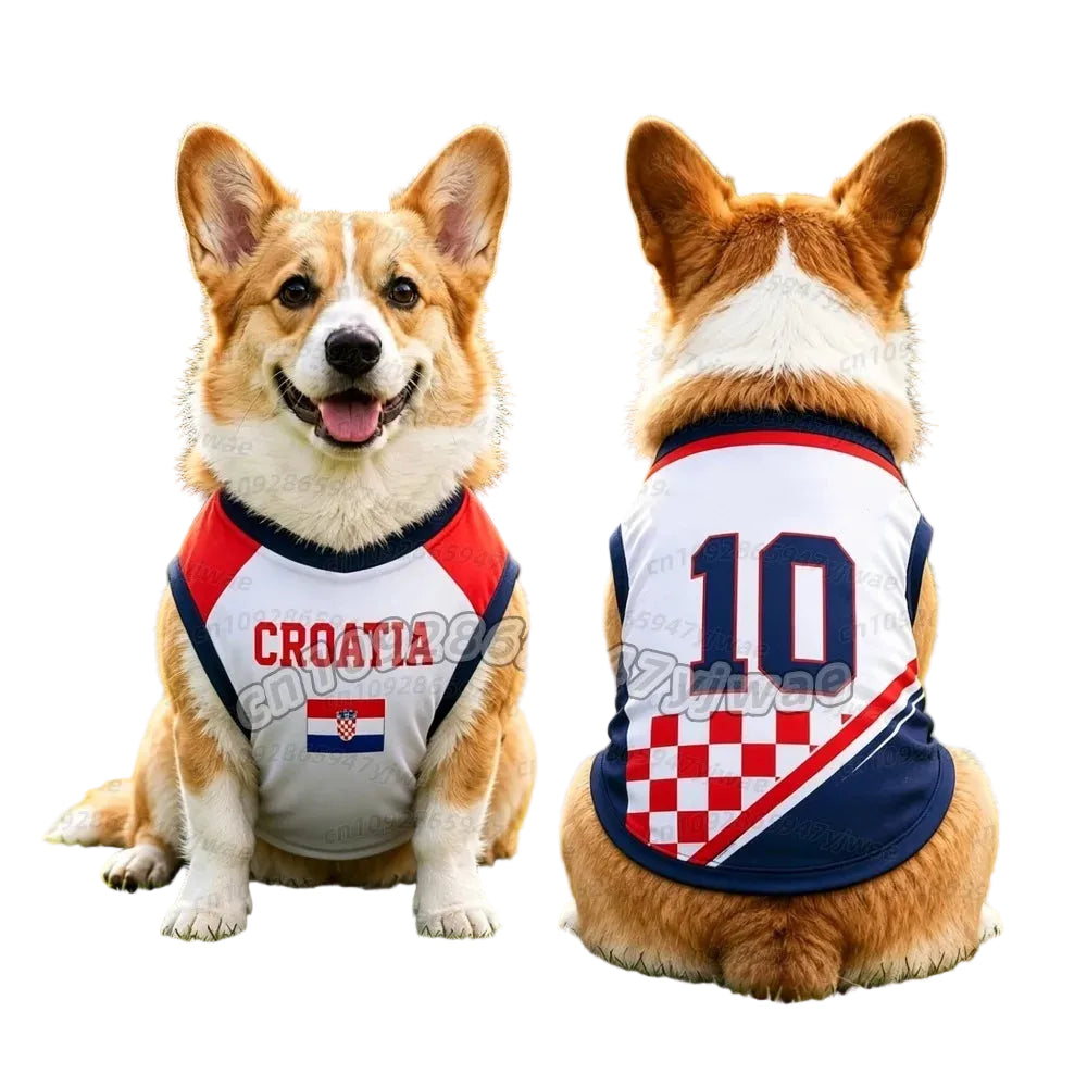 Corgi wearing a white, red and navy Croatia dog soccer jersey with number 10, shown from the front and back