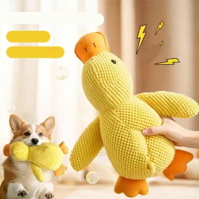 Corgi playing with a large yellow plush duck dog toy with textured fabric and orange beak