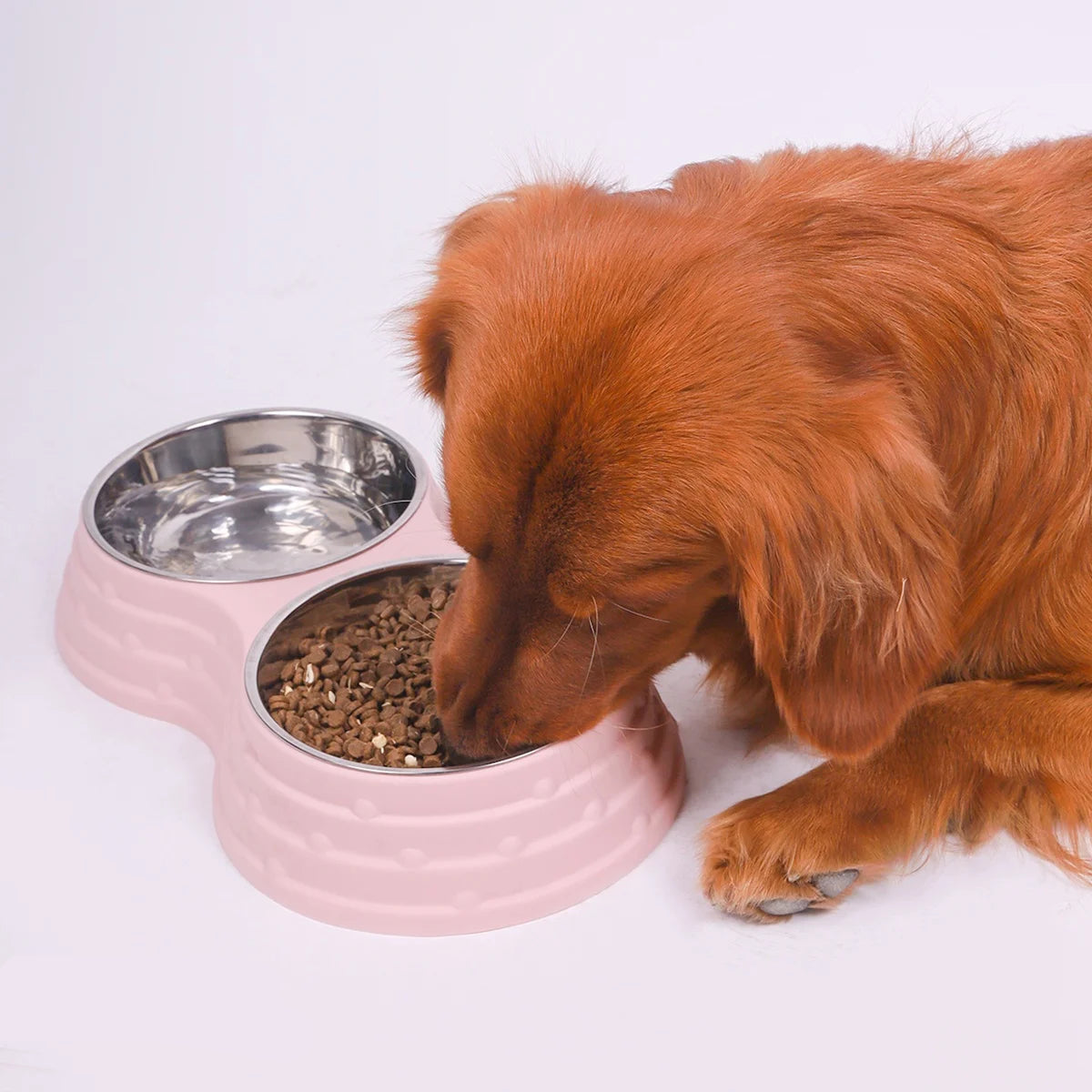 Brown dog eating from a pink double pet bowl set with stainless steel food and water bowls