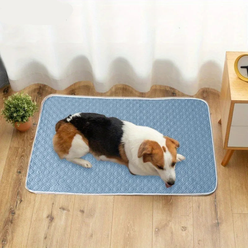 Small dog resting on a blue quilted pet cooling mat on a wooden floor