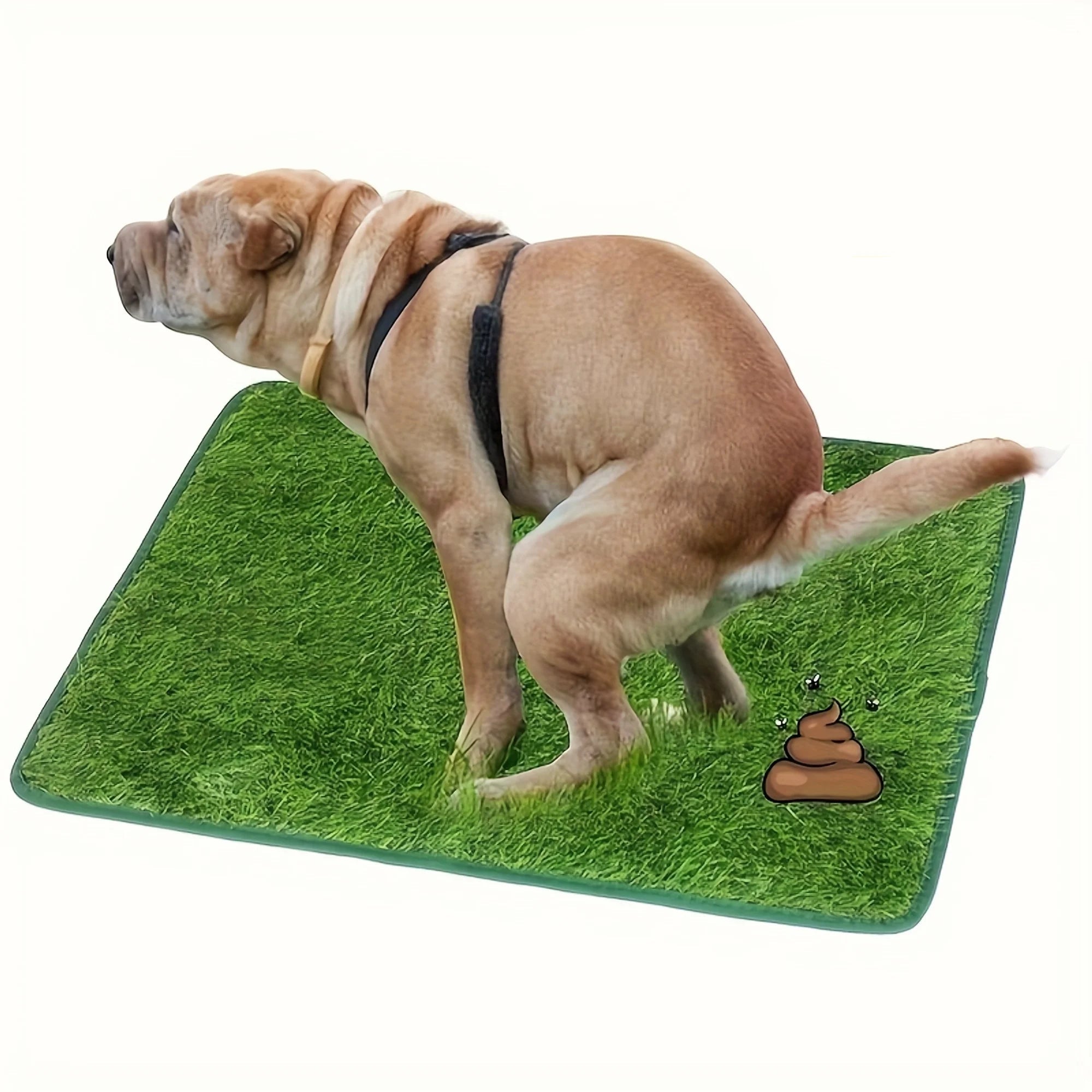 Dog using a rectangular artificial grass potty training mat for indoor toilet training