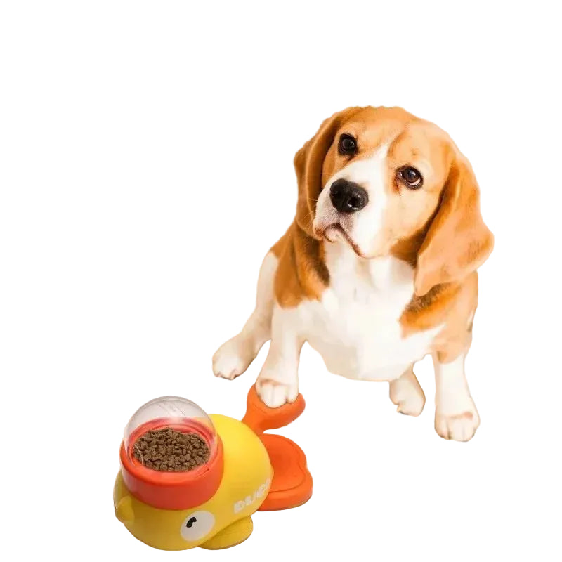 Dog using a duck-shaped interactive food dispenser with dry kibble and paw-operated feeding lever