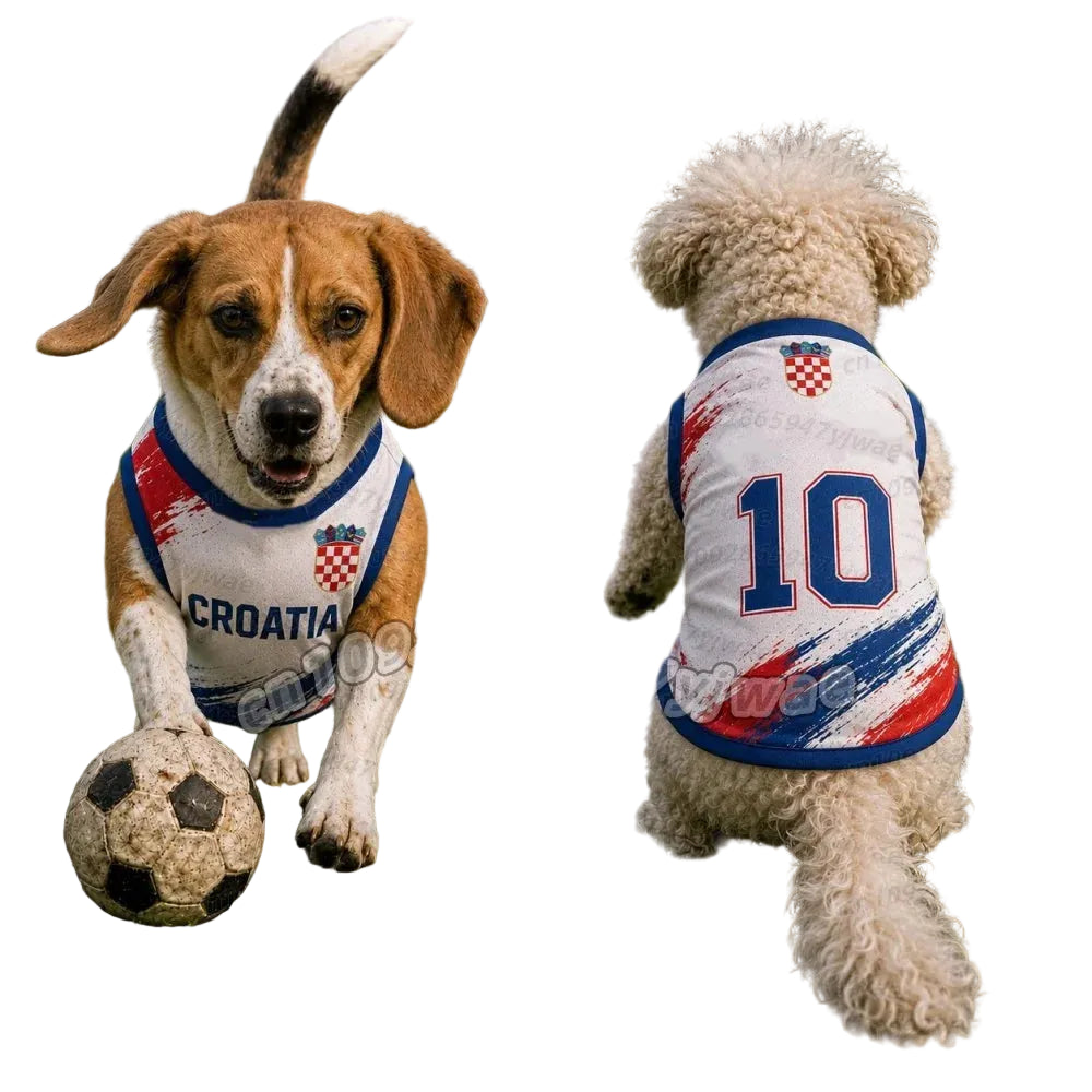 Two dogs wearing Croatia soccer jerseys with number 10, one standing beside a football and one shown from the back