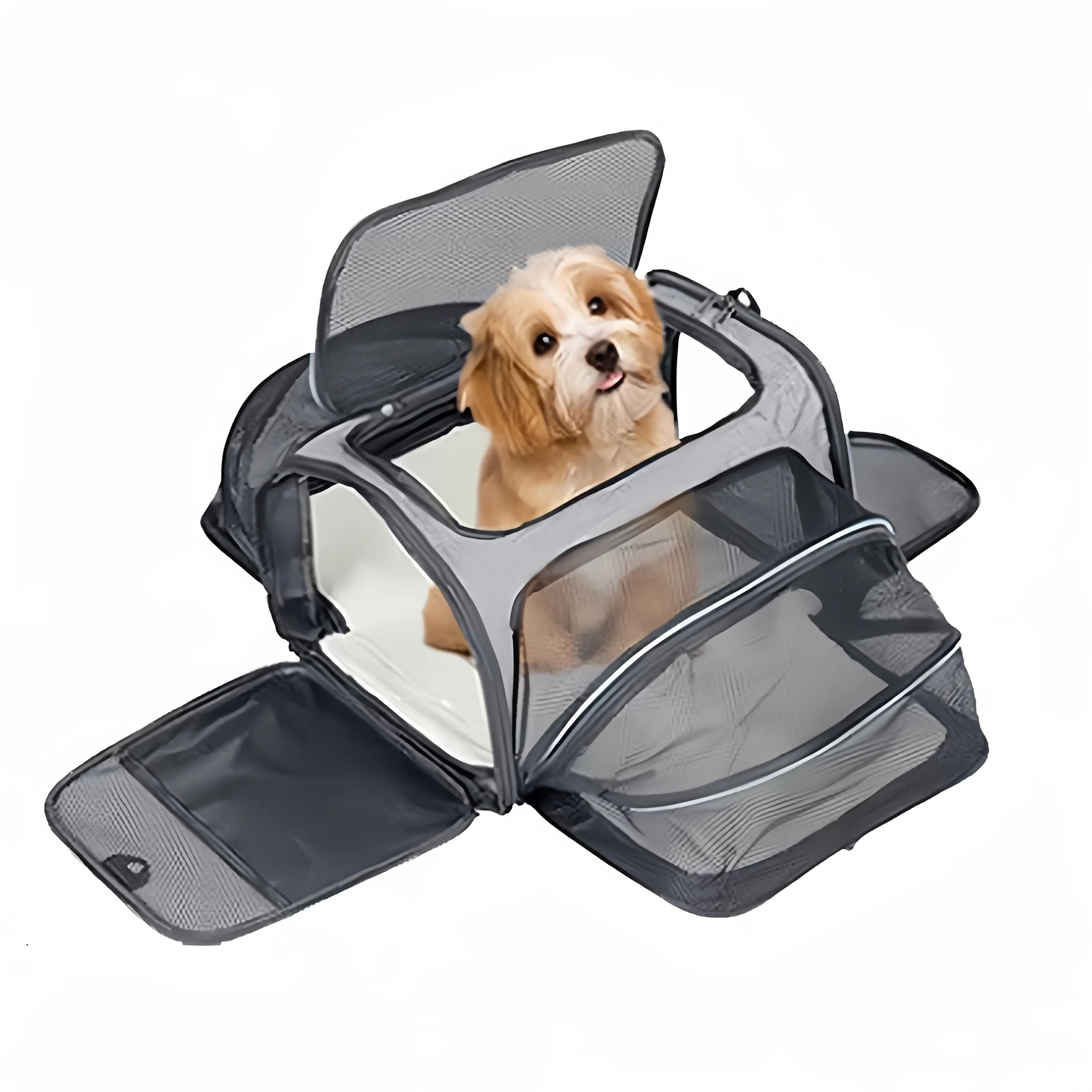 Small dog sitting inside a grey expandable mesh pet carrier with multiple zippered openings and breathable side panels
