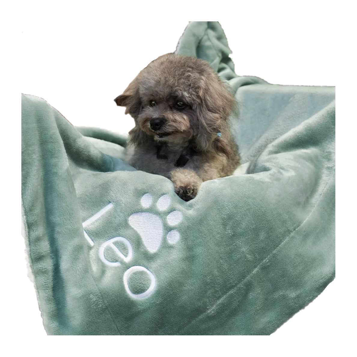 A small fluffy gray dog sitting in a soft mint green blanket or pet lounger with white embroidered paw print and lettering, isolated on a white background.