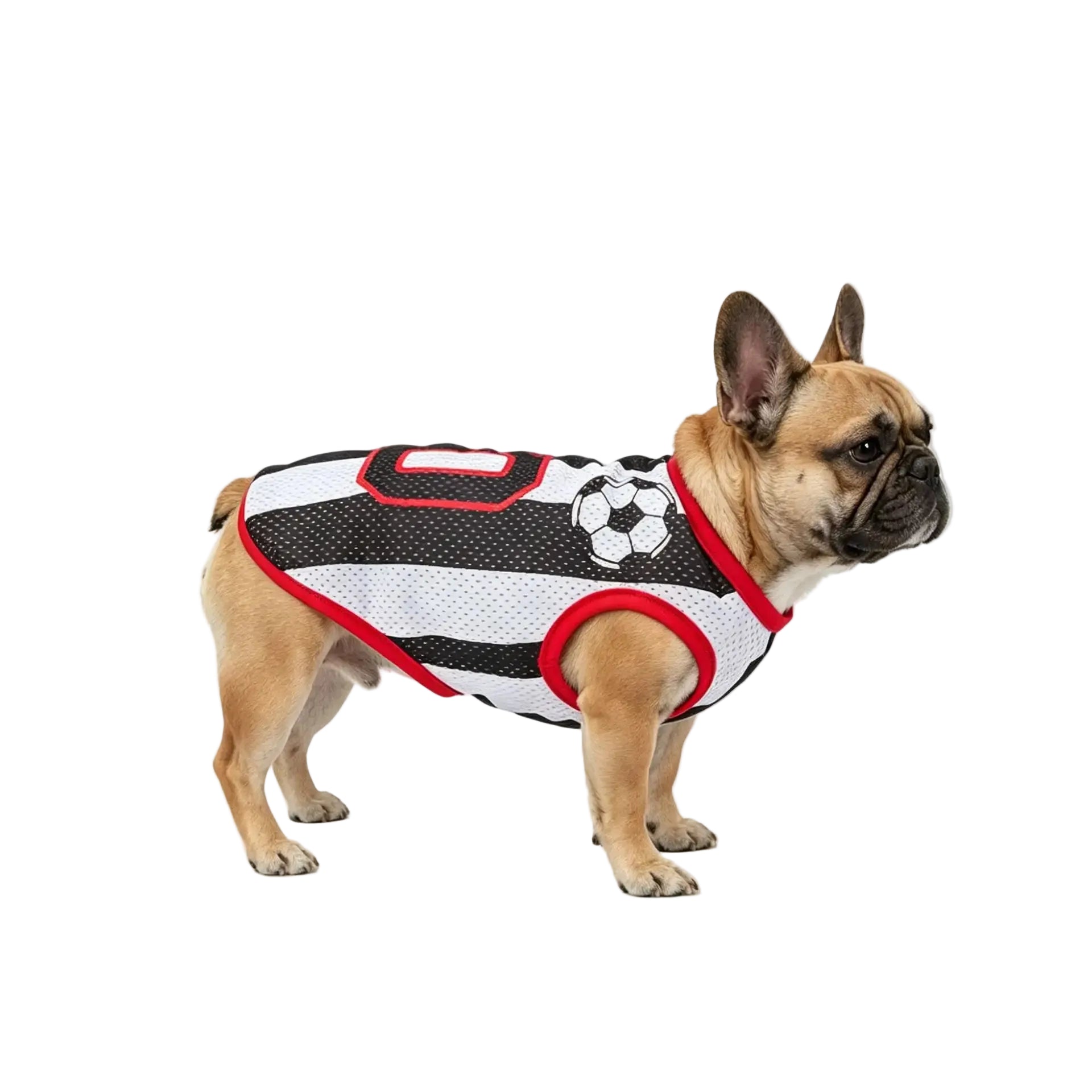 French Bulldog wearing a black and white soccer dog jersey with red trim and football graphic