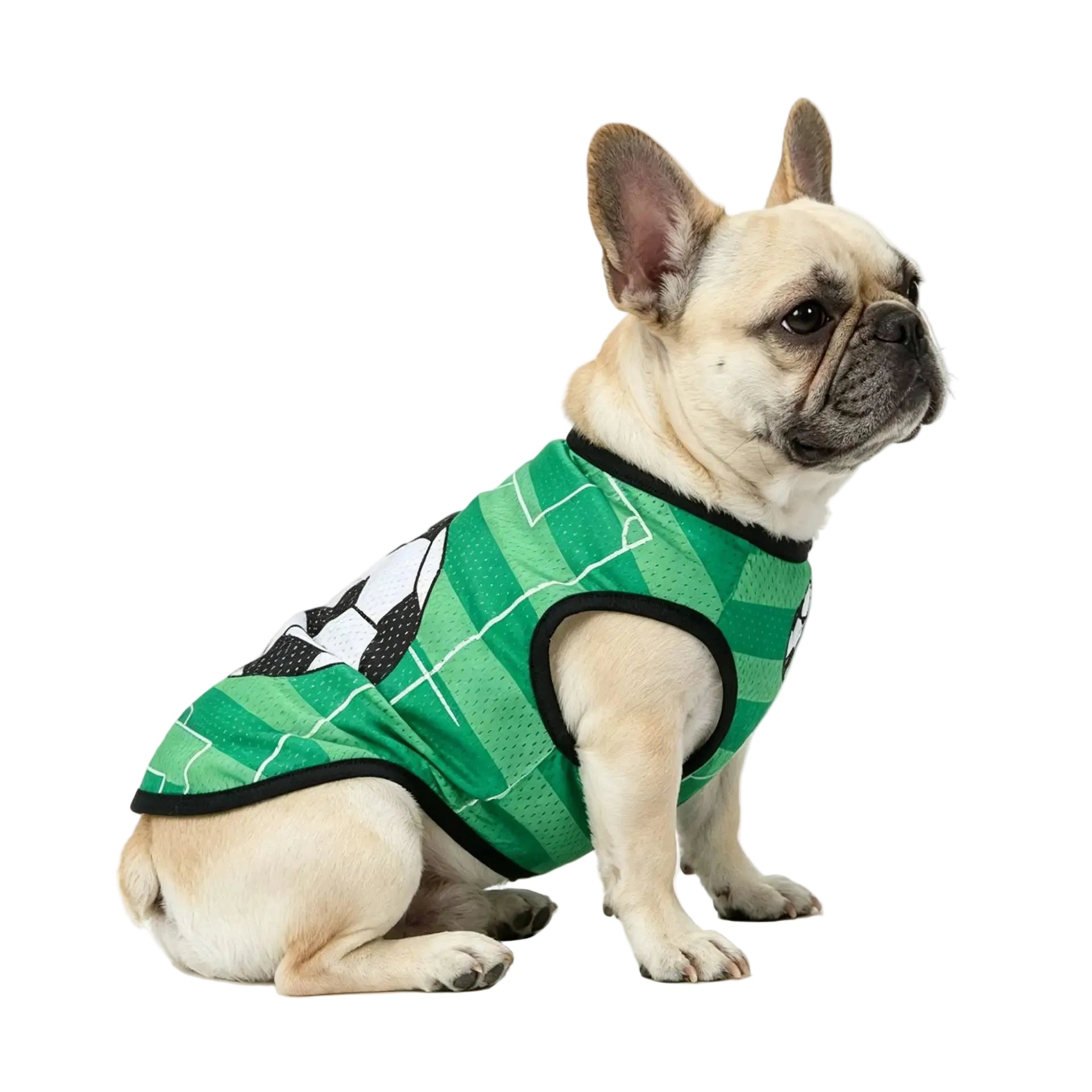 French Bulldog wearing a green soccer dog jersey with black trim and football graphic