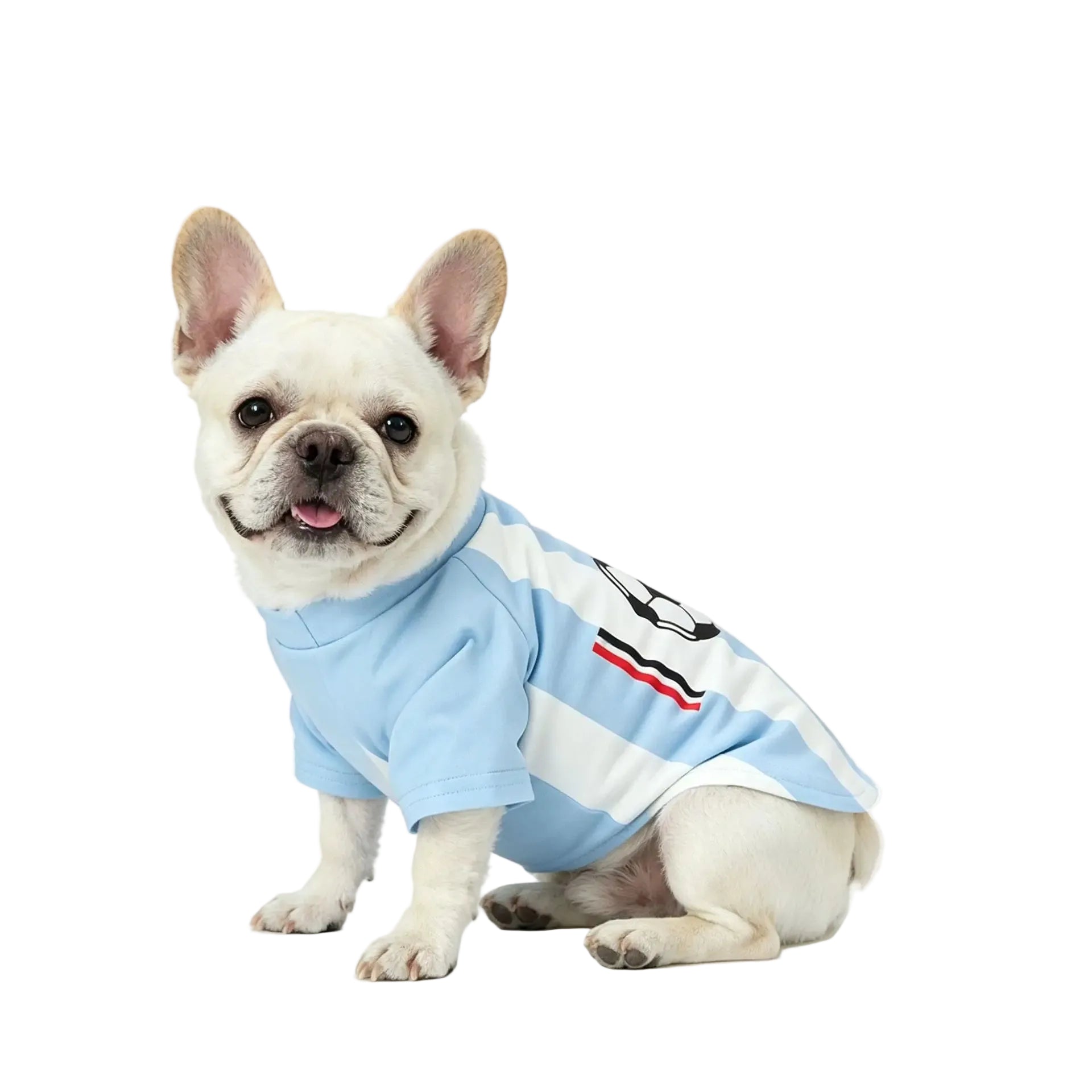 French Bulldog wearing a light blue and white soccer dog shirt with football graphic
