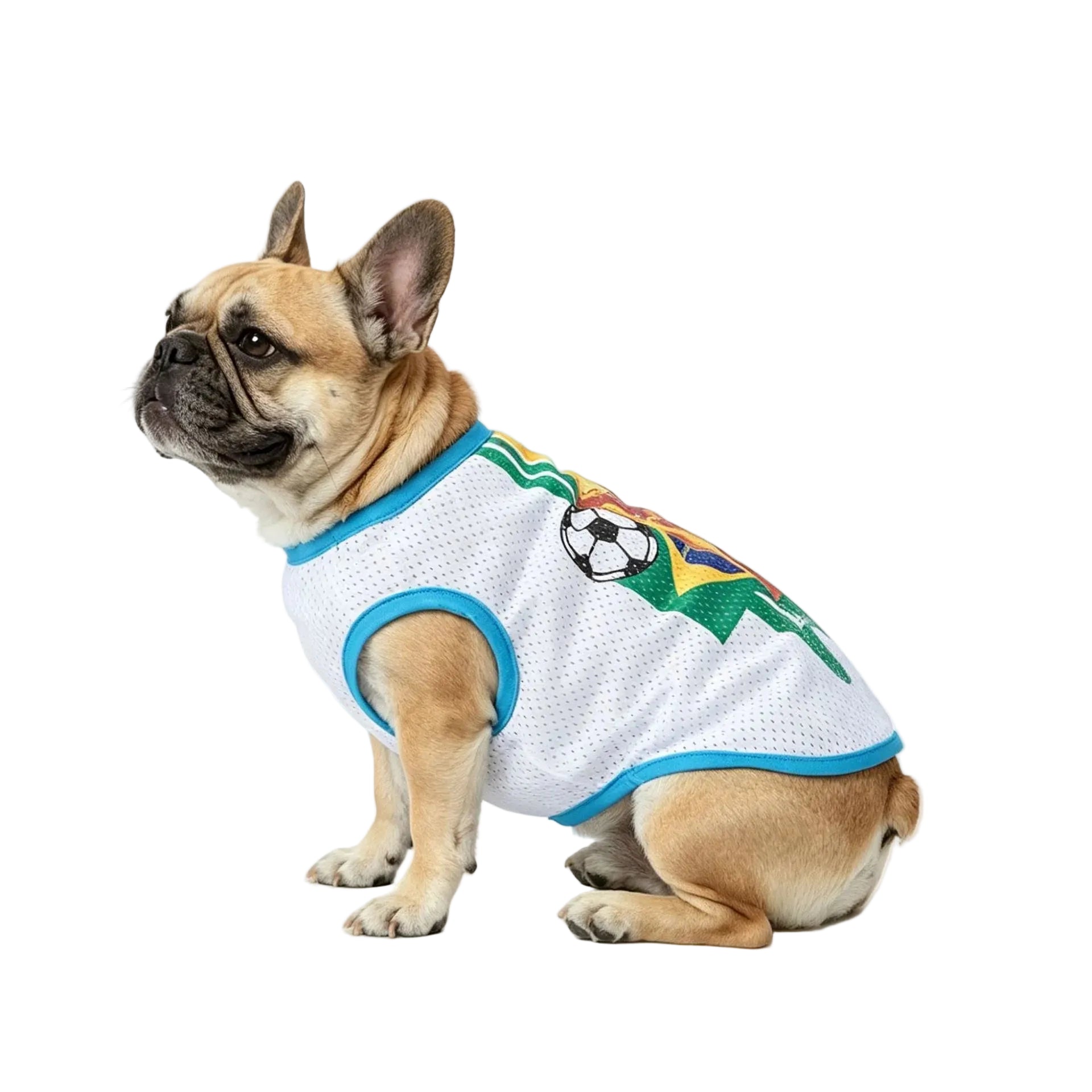 French Bulldog wearing a white soccer dog jersey with blue trim and football graphic