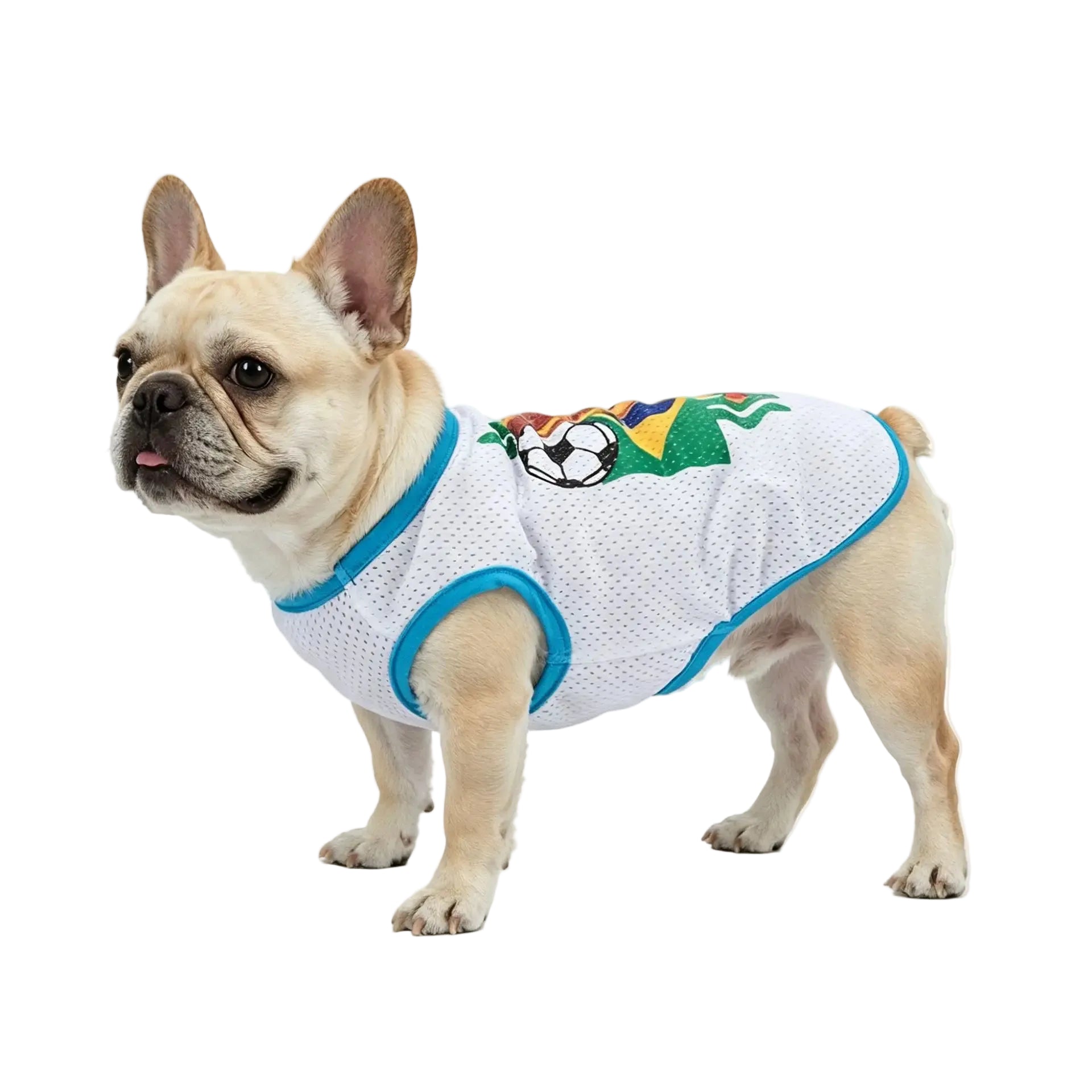 French Bulldog wearing a white soccer dog jersey with blue trim and football graphic