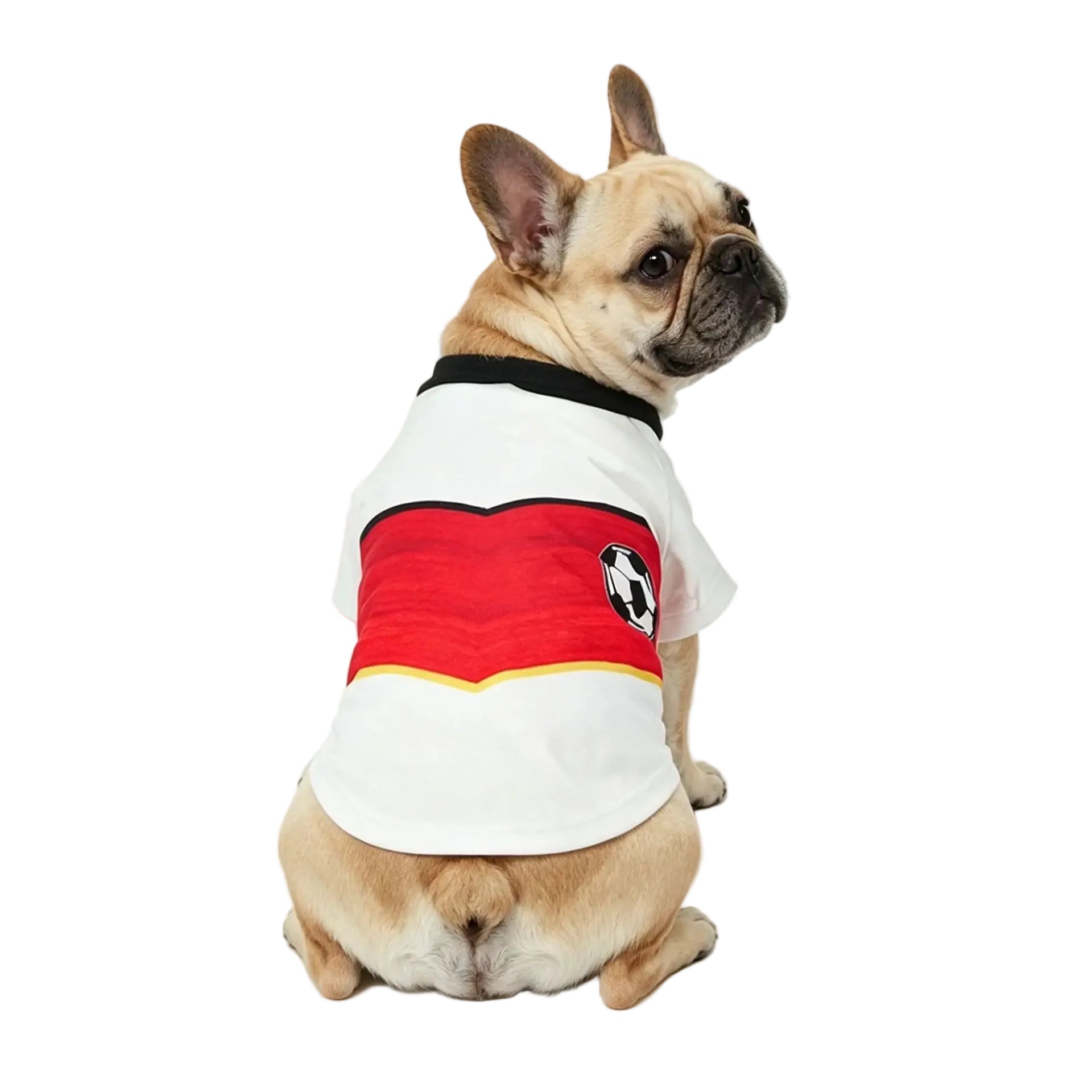 French Bulldog wearing a white and red soccer dog shirt with black trim and football graphic