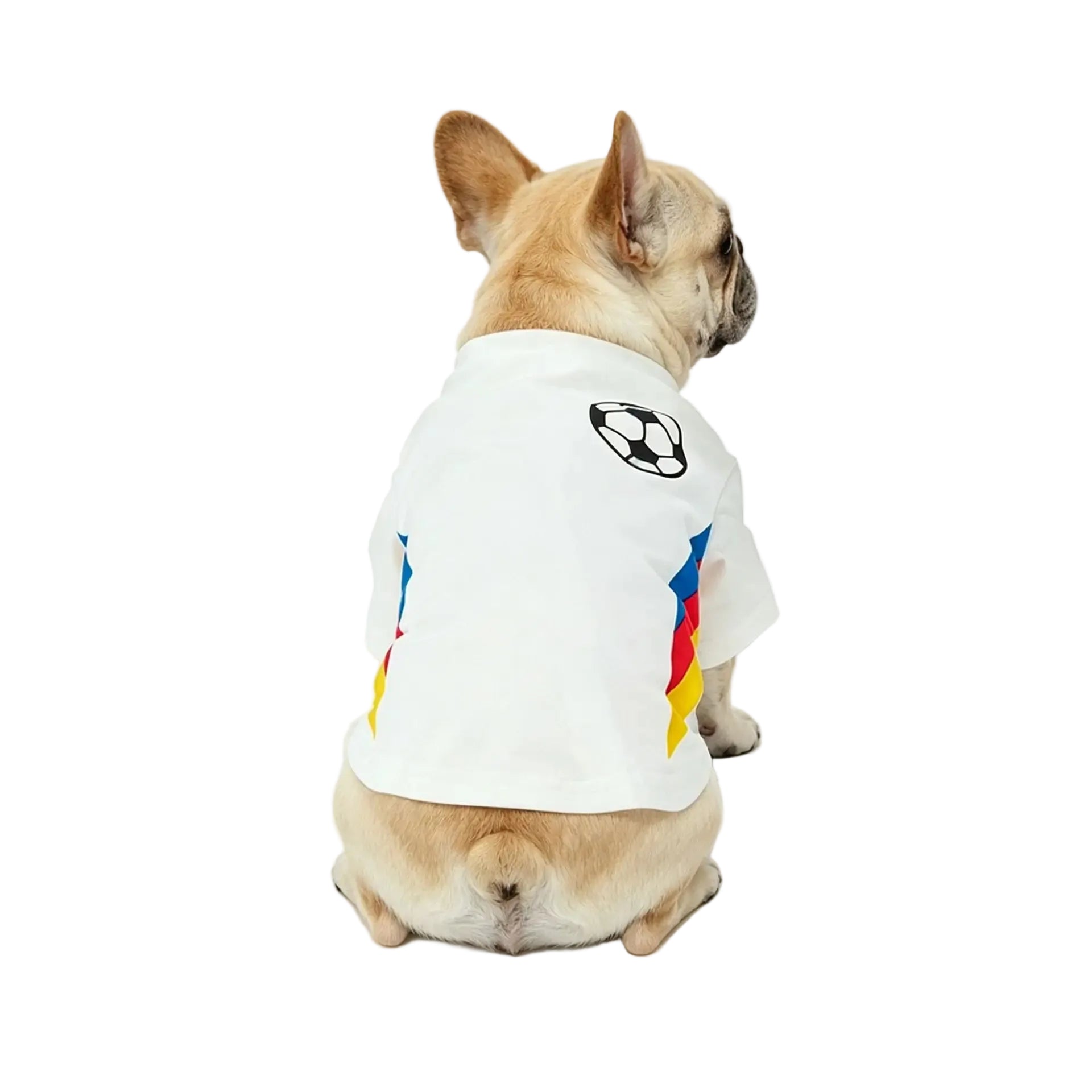 French Bulldog wearing a white soccer dog shirt with football graphic and colourful side panels