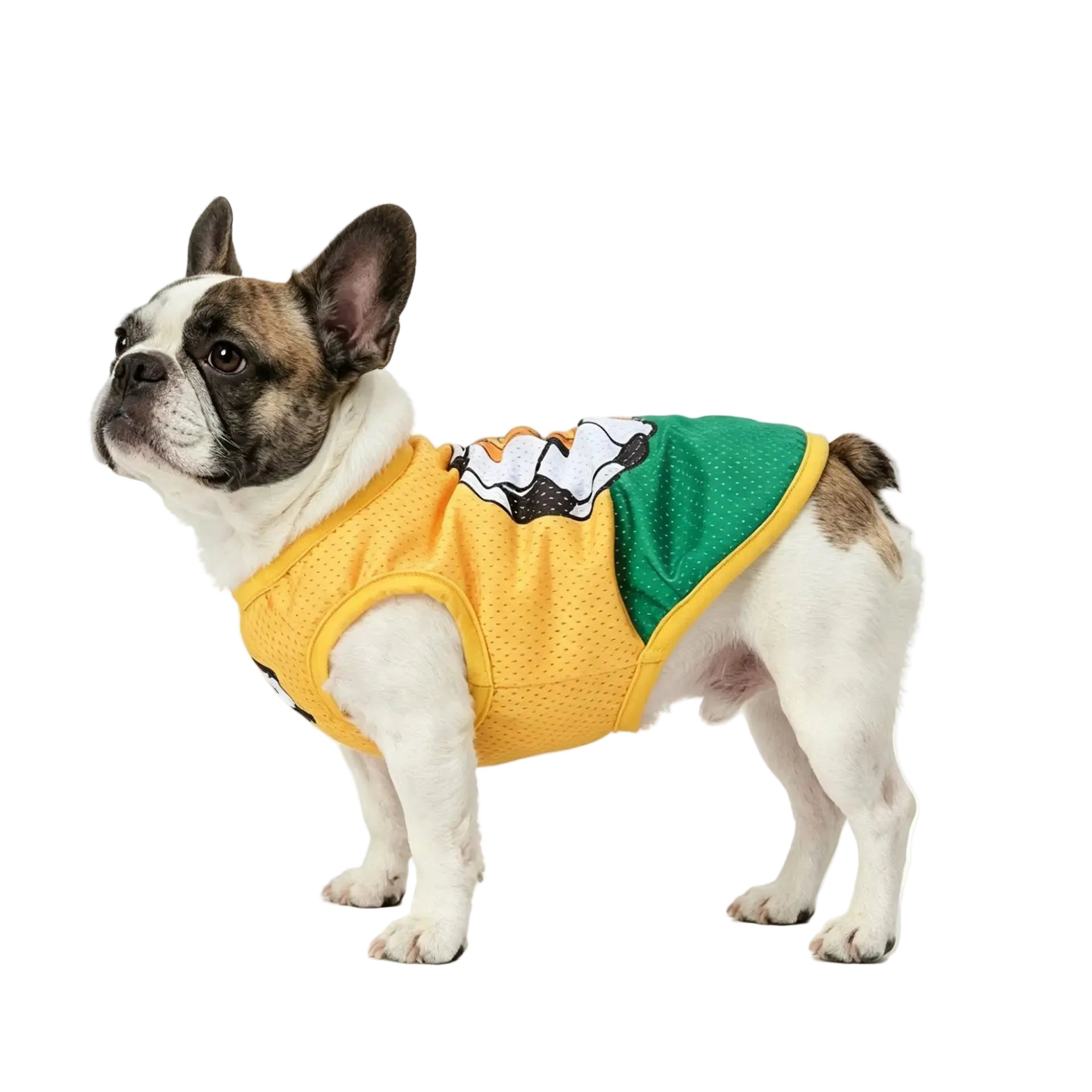 French Bulldog wearing a yellow and green soccer dog jersey with football-themed graphics