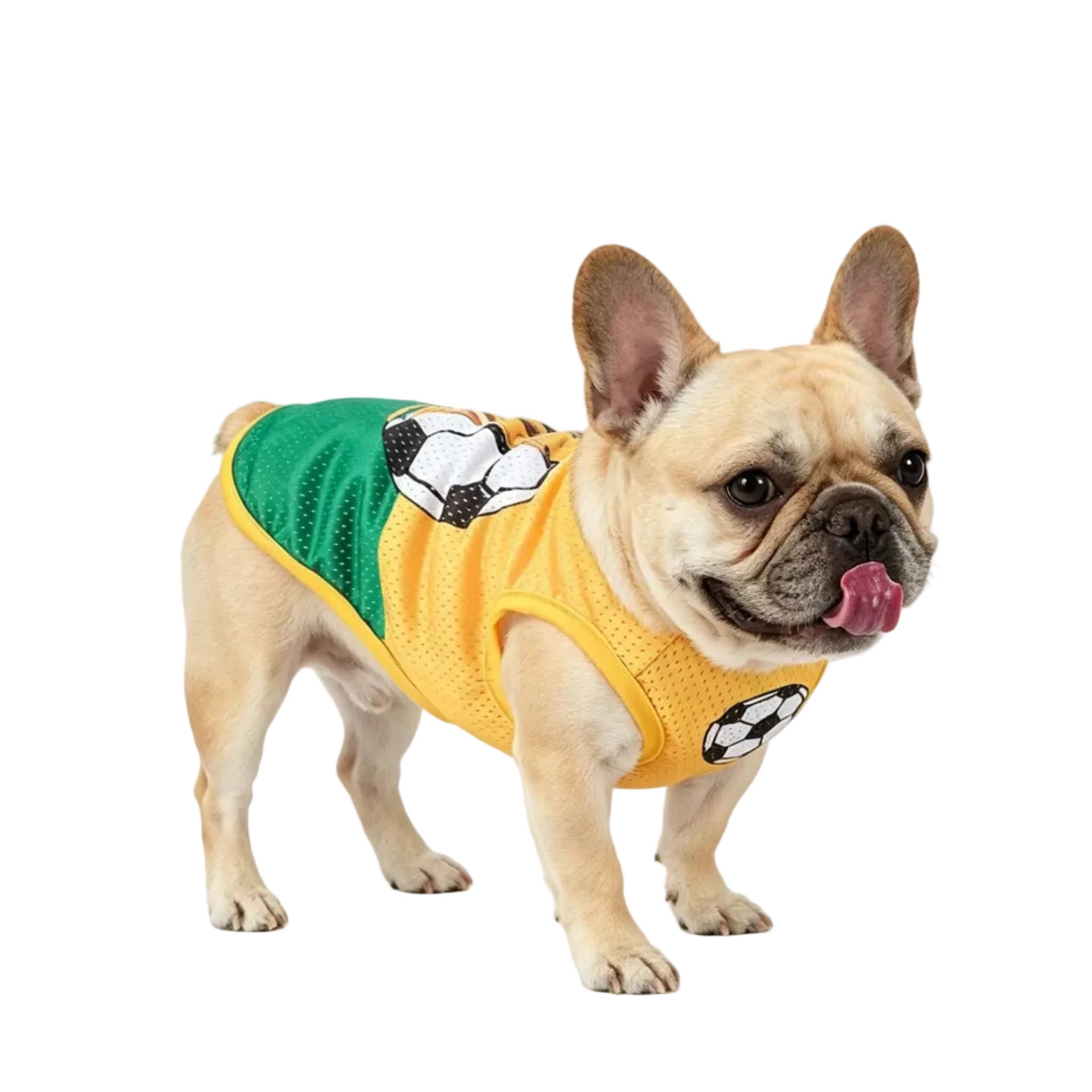 French Bulldog wearing a yellow and green soccer dog jersey with football graphics