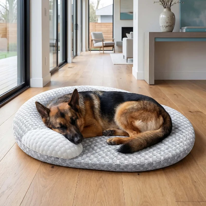 German Shepherd sleeping on a round orthopaedic dog bed with raised cushioned sides in a modern home