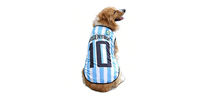 Golden-coloured dog wearing a blue and white Argentina soccer jersey with number 10 on the back