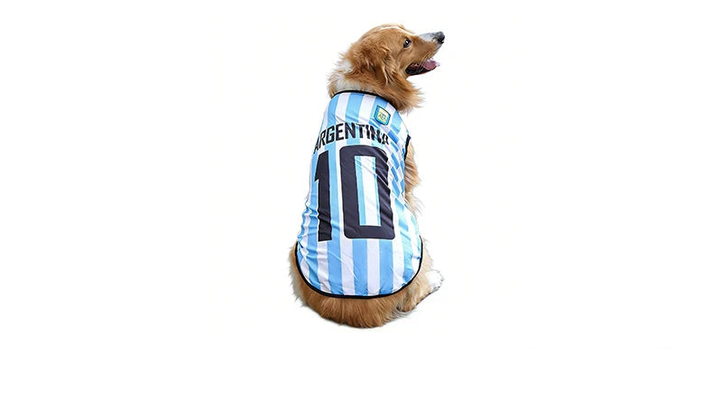 Golden-coloured dog wearing a blue and white Argentina soccer jersey with number 10 on the back