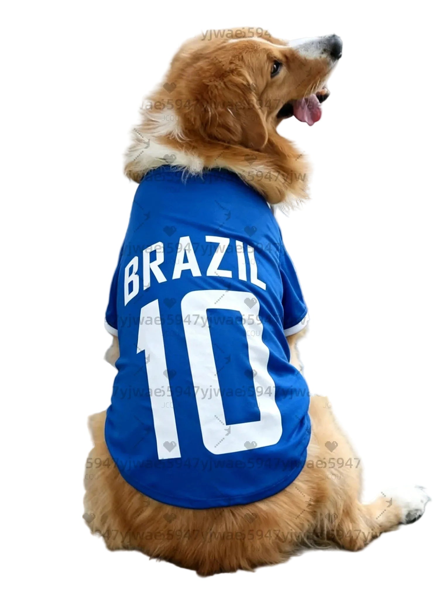 Golden-coloured dog wearing a blue Brazil football jersey with white lettering and number 10 on the back