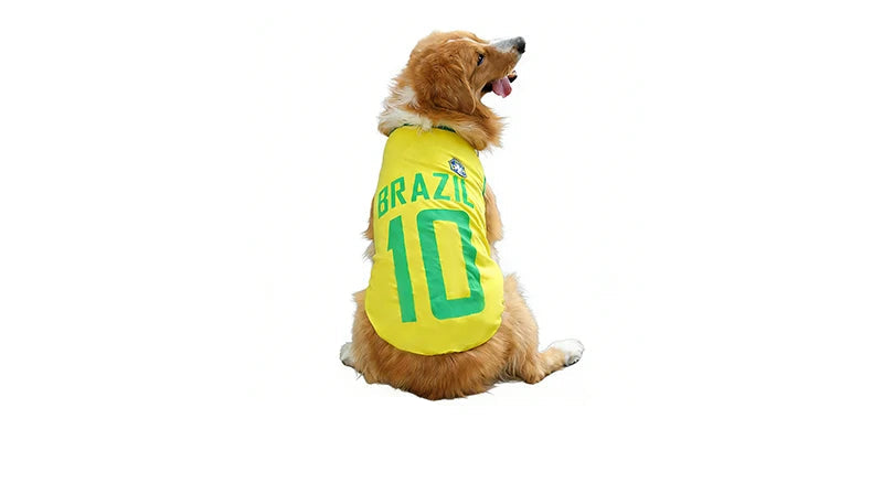 Golden-coloured dog wearing a yellow Brazil soccer jersey with green lettering and number 10 on the back