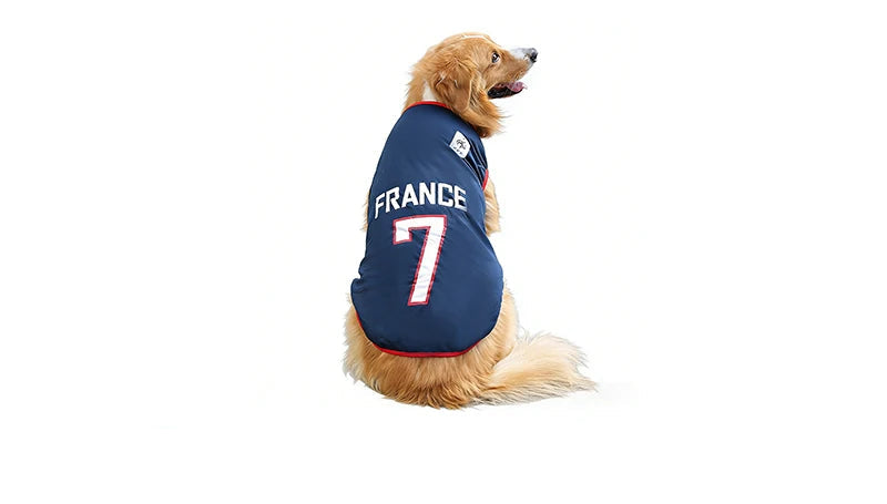 Golden-coloured dog wearing a navy France soccer jersey with number 7 on the back