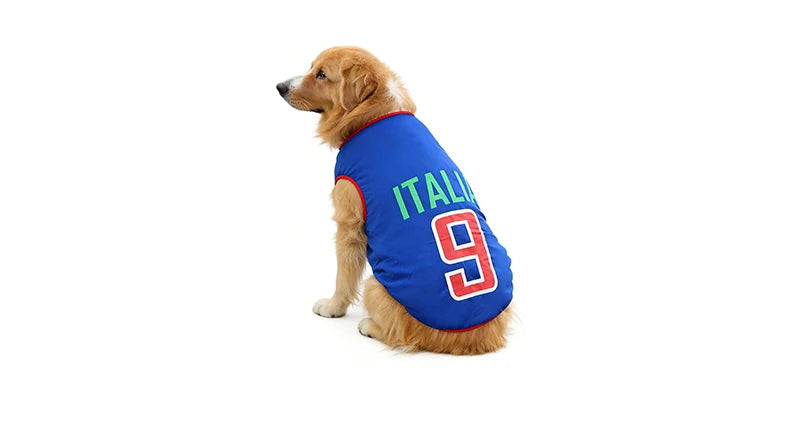 Golden-coloured dog wearing a blue Italy soccer jersey with number 9 on the back