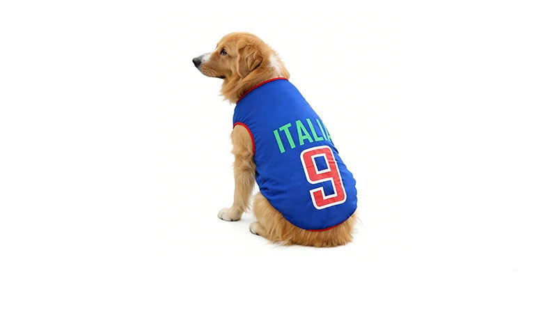 Golden-coloured dog wearing a blue Italy soccer jersey with number 9 on the back