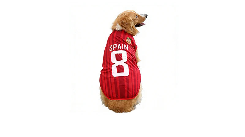 Golden-coloured dog wearing a red Spain soccer jersey with number 8 on the back