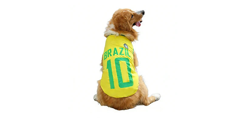 Golden-coloured dog wearing a yellow Brazil soccer jersey with green lettering and number 10 on the back