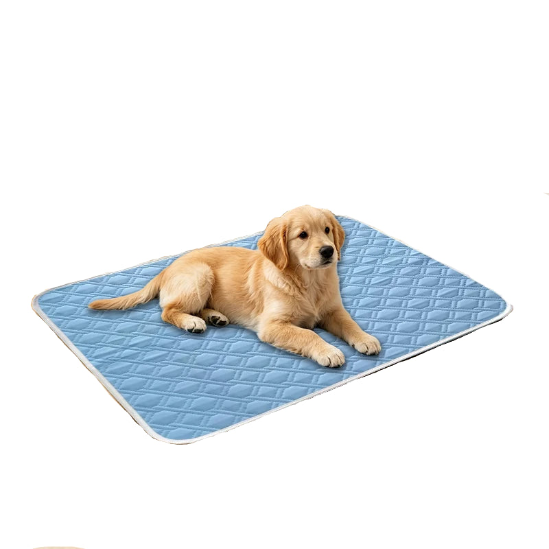 Golden Retriever puppy lying on a blue quilted pet cooling mat