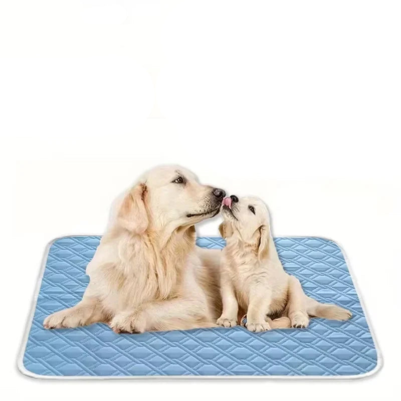Golden Retriever and puppy sitting together on a blue quilted pet mat