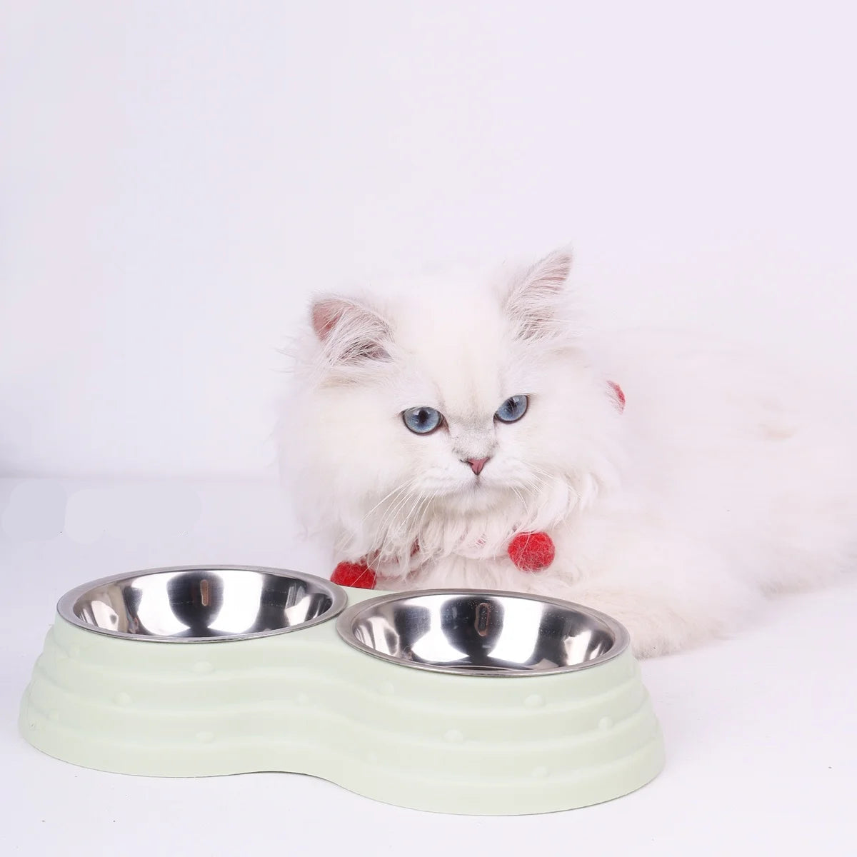 White cat sitting behind a light green double pet bowl set with two stainless steel food and water bowls