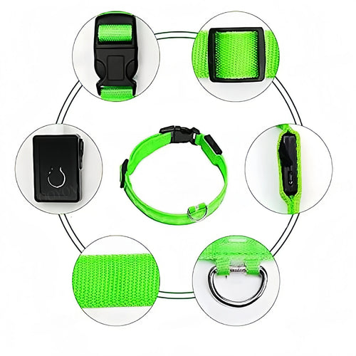 Green reflective dog collar with adjustable buckle and metal D-ring for leash attachment