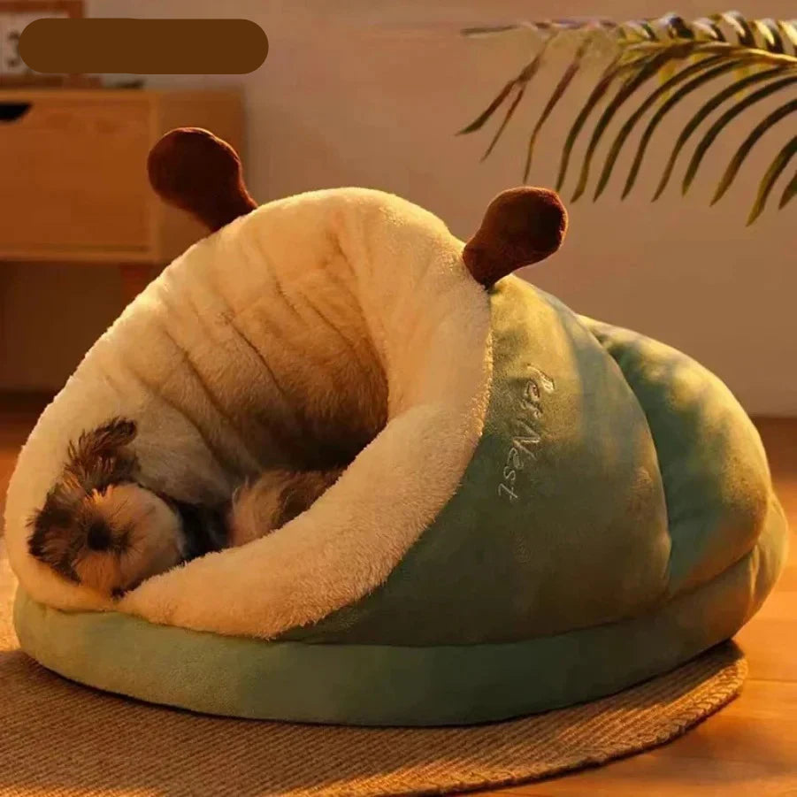 Small dog sleeping inside a green plush covered pet bed with soft cream lining and cushioned sides